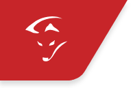 SMARTFOX LOGO